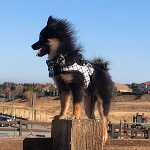 Meet your Posher, Kevin